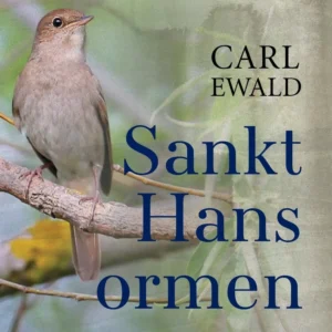 Sankt Hansormen