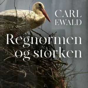Regnormen og storken