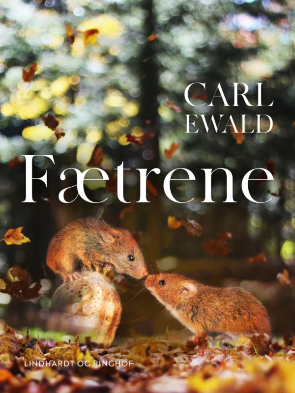 Fætrene