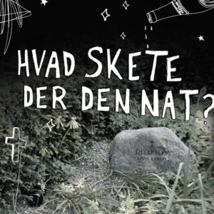 Hvad skete der den nat?