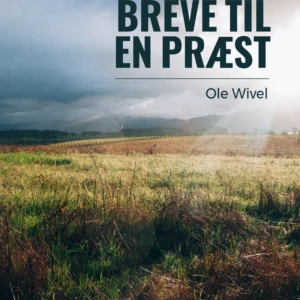 Den skjulte gud: breve til en præst
