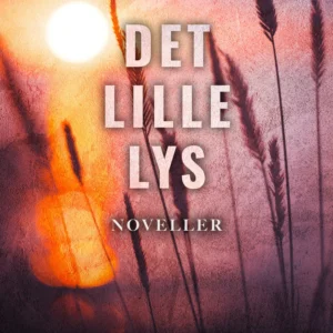 Det lille lys