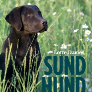 Sund hund