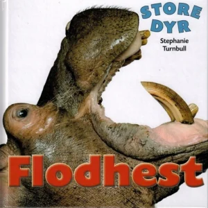 STORE DYR: Flodhest