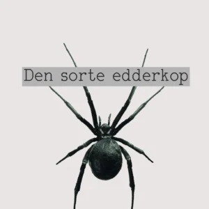 Den sorte edderkop
