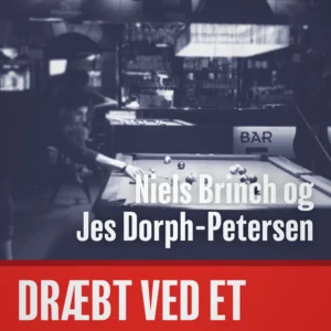 Dræbt ved et tilfælde