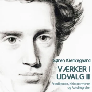 Værker i udvalg 3 - Prædikanten, Kirkestormeren og Autobiografen