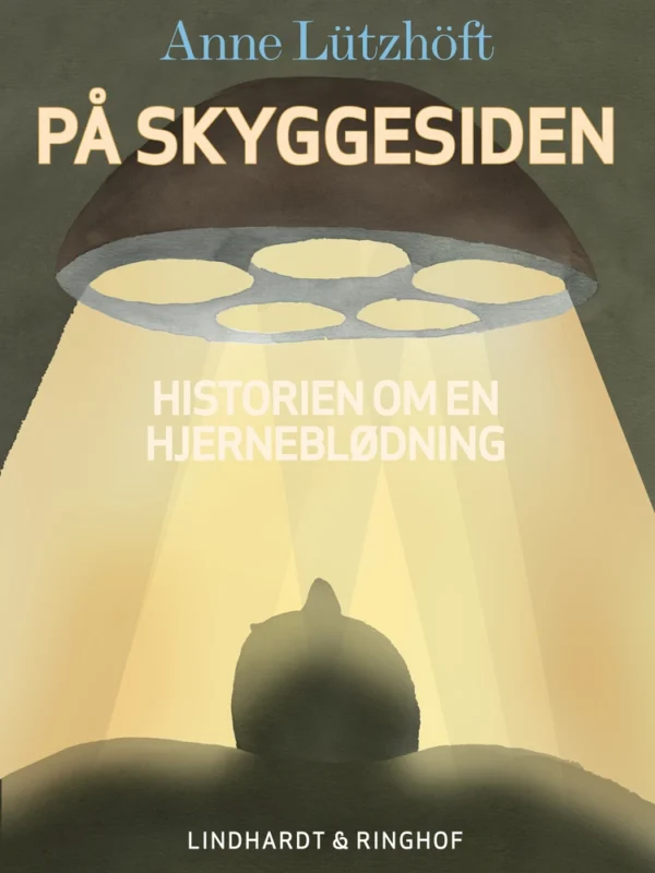 På skyggesiden - beretningen om en hjerneblødning