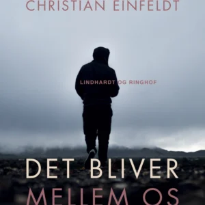 Det bliver mellem os - et adoptivbarns historie
