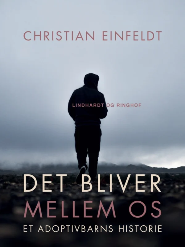 Det bliver mellem os - et adoptivbarns historie