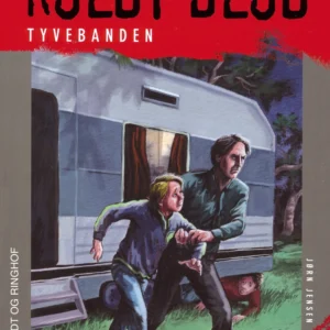Koldt blod 16 - Tyvebanden