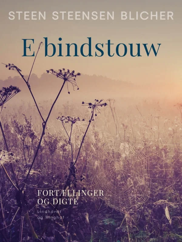 E bindstouw