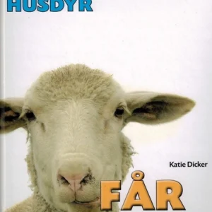 HUSDYR: Får