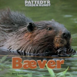 Pattedyr verden rundt: Bæver