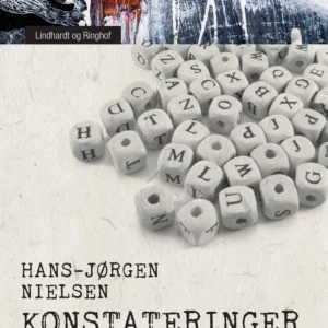 Konstateringer: dobbelt-essays & andre stykker