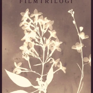 Filmtrilogi