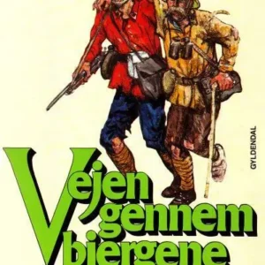 Vejen gennem bjergene