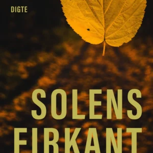 Solens firkant