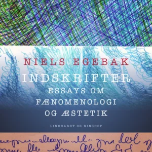 Indskrifter. Essays om fænomenologi og æstetik