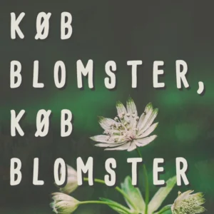 Køb blomster, køb blomster