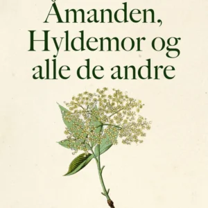 Åmanden, Hyldemor og alle de andre