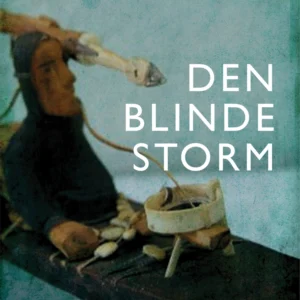 Den blinde storm