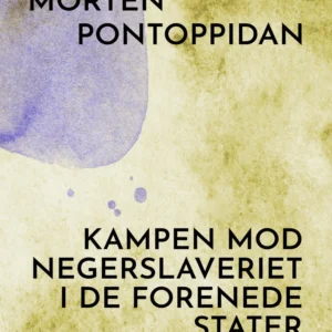 Kampen mod negerslaveriet i De Forenede Stater