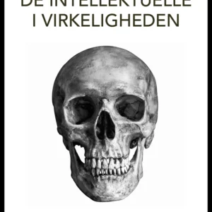 De intellektuelle i virkeligheden