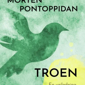 Troen: En vejledning til evangelisk erkendelse