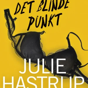 Det blinde punkt (Rebekka Holm nr. 2)