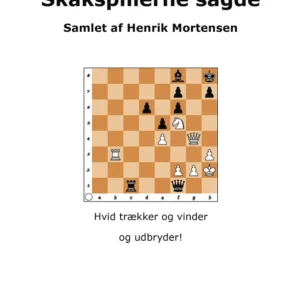Skakspillerne sagde