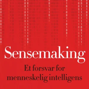 Sensemaking