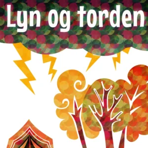 Lyn og torden