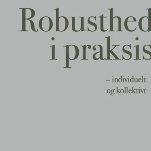 Robusthed i praksis