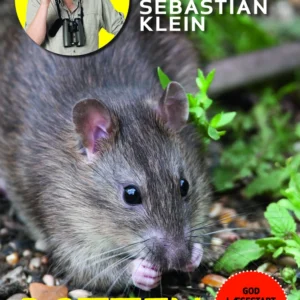Læs med Sebastian Klein: Rotten