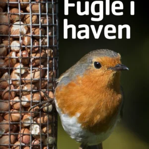 Fugle i haven