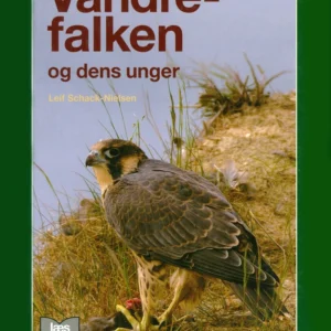 Vandrefalken og dens unger