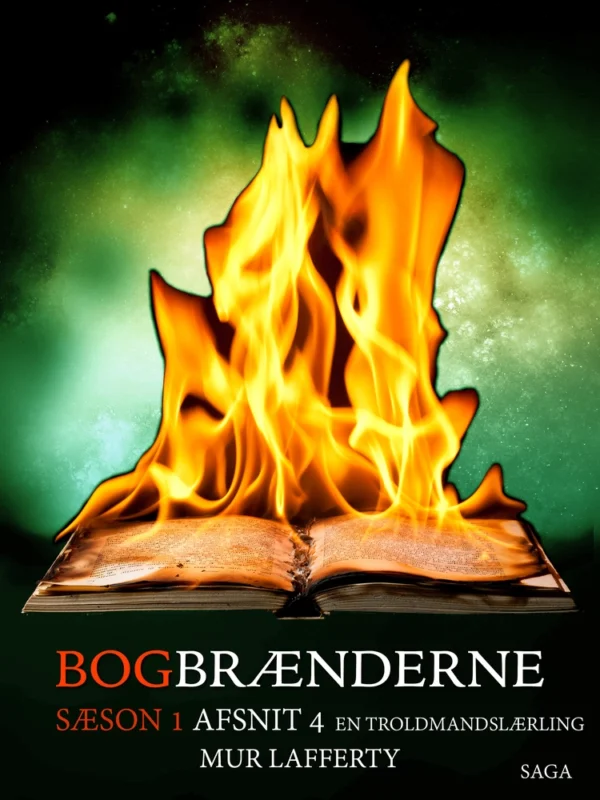 Bogbrænderne En troldmandslærling