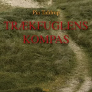 Trækfuglens kompas