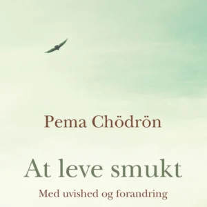 At leve smukt - med uvished og forandring