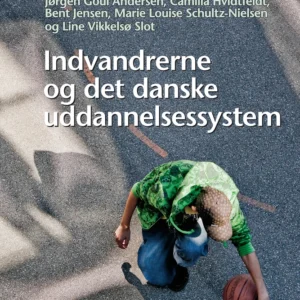 Indvandrerne og det danske uddannelsessystem