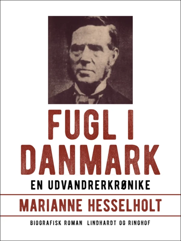 Fugl i Danmark