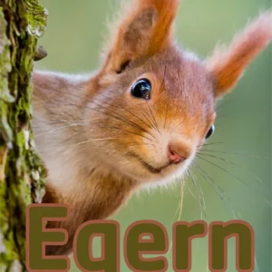 Egern