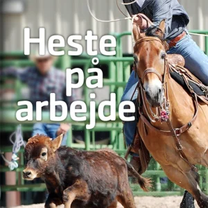 Heste på arbejde