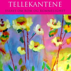 Utenfor tellekantene : essays om rom og rommelighet