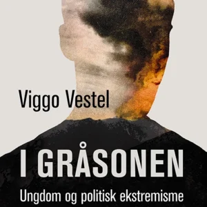 I gråsonen : ungdom og politisk ekstremisme i det nye Norge