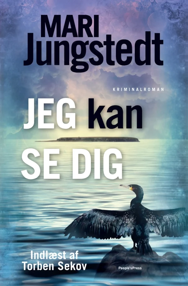Jeg kan se dig