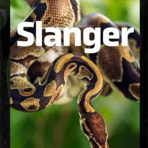 Slanger