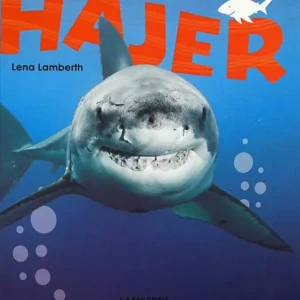 Hajer