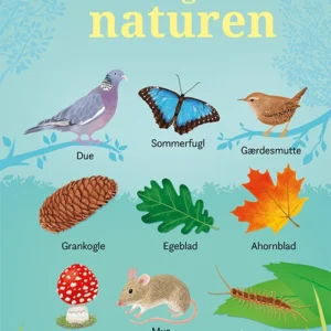 199 ting i naturen